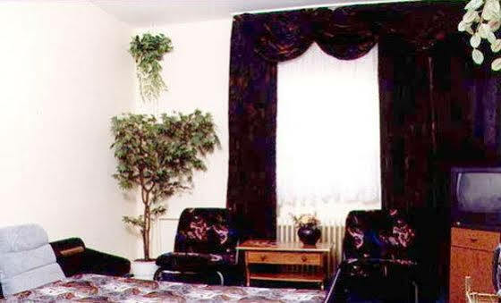Pensiunea Doria 3* Timisoara